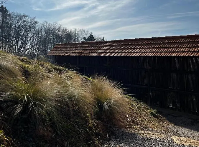 Thonjoergl Apartamento